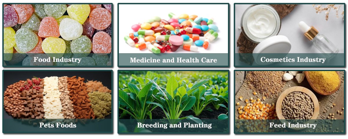 Sea-Cucumber-Peptide-applications