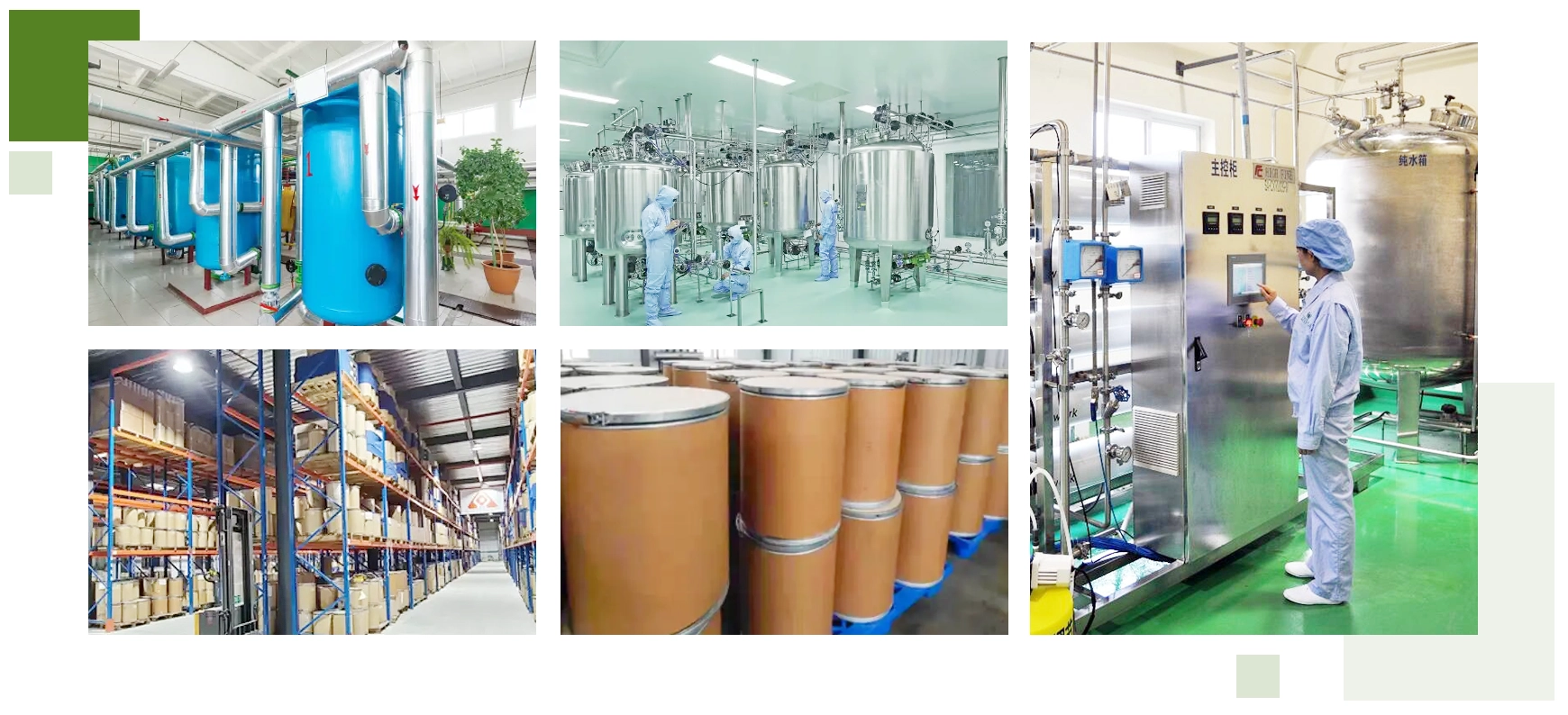Monobenzone-powder-factory