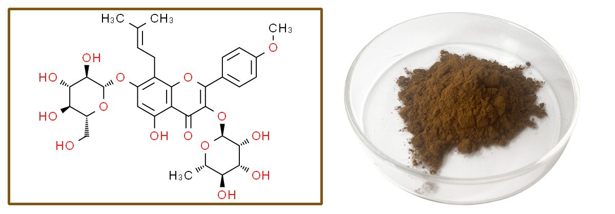 Epimedium-extract-powder-suppliler