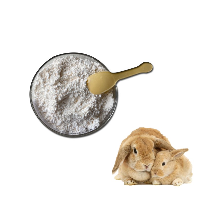 Praziquantel-powder-manufacturer