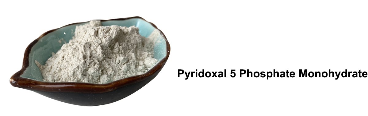 Pyridoxal- 5 -Phosphate-Monohydrate-powder