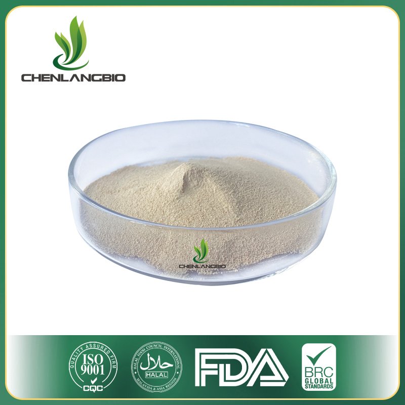 Sea Cucumber Peptide