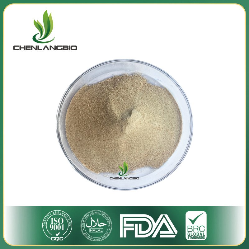 Sea Cucumber Peptide - Image 2