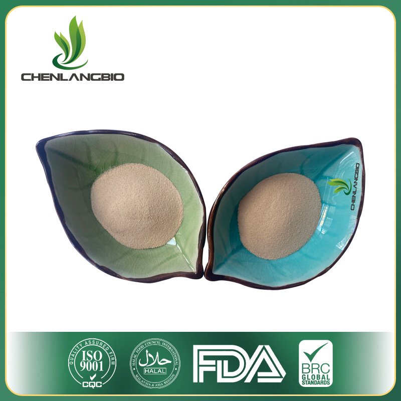 Sea Cucumber Peptide - Image 3