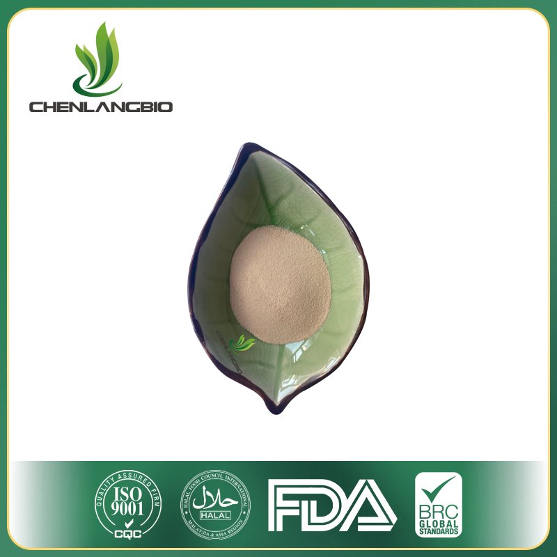 Sea Cucumber Peptide - Image 4