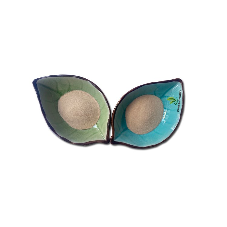 Sea-cucumber-oligopeptide-powder-supplier