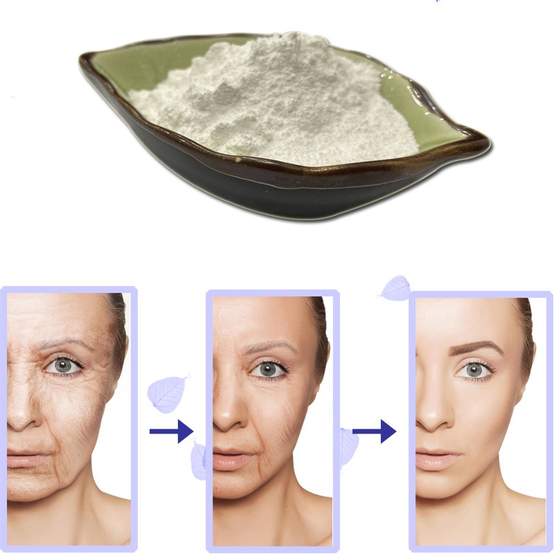 NAD-Nicotinamide-Adenine-Dinucleotide-Supplier