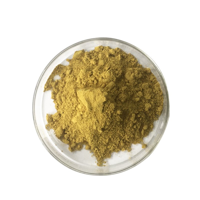 fisetin-powder-supplier