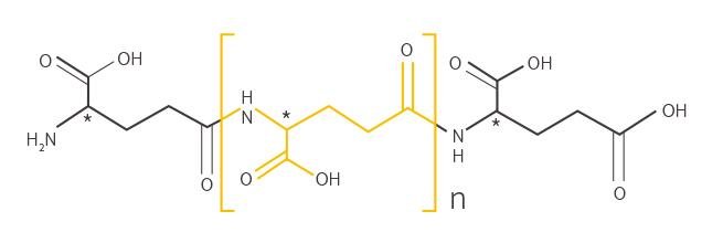 Polyglutamic-Acid-structure