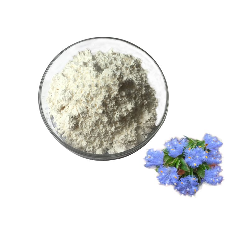 Beta-Ecdysterone-manufacturer