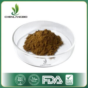 Oleanolic-Acid-Olive-Leaf-Extract-supplier
