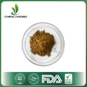 Olive-Leaf Extract-Oleuropein-Supplier