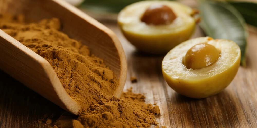 Olive-Polyphenols-20-supplier