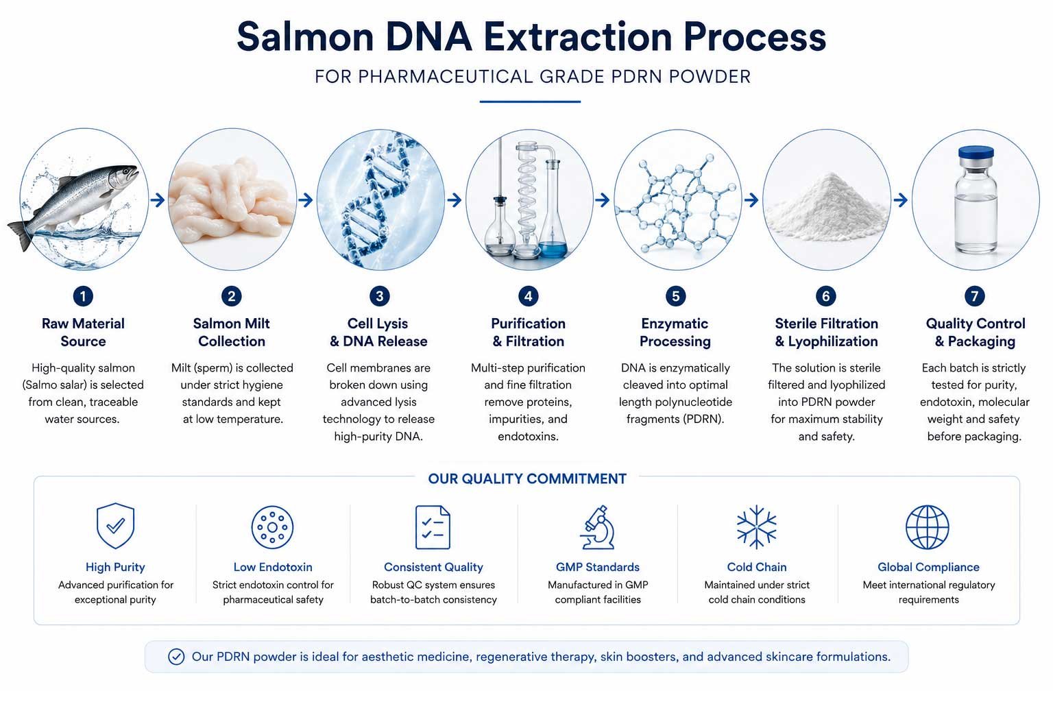 Salmon DNA extraction process for pharmaceutical grade PDRN powder